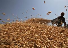 Why Govt Banned Atta Exports