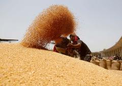 'Where has surplus wheat stocks gone?'