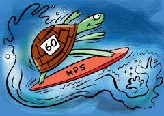 Opt for NPS for higher returns