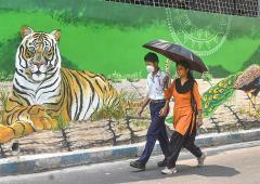 Yeh Hai India: Tiger On The Prowl?