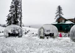 When Nature Snow Coated Kashmir