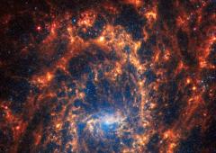 19 Spiral Galaxies Of The Universe