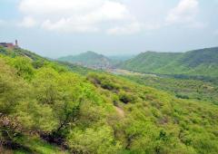 'Thar Desert Will Reach Delhi Soon'