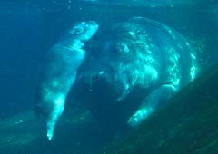 This Mother And Child Make Such A Splash