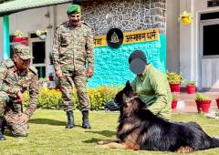 Indian Army Hero Tyson Is Recovering Well