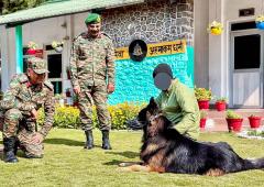 The Army Dogs Who Fought For India