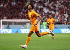 FIFA World Cup PIX: Dutch down Qatar to top Group A