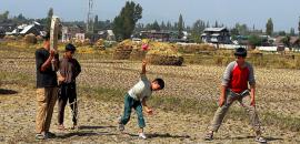 Asia Cup Final Fever Grips Kashmir