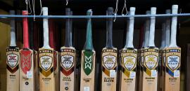 Rising cost of English willow prompts MCC to change law