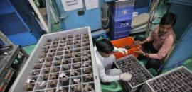 Auto, ancillary sectors to see strong earnings momentum