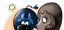 Factors that will guide the markets this week