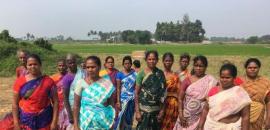 Odisha Official Nabbed in Bribery Case Over Land Conversion