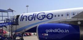 IndiGo moves Delhi HC seeking Rs 900 crore Customs duty refund