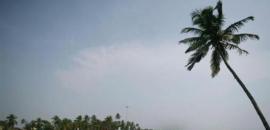 Goa nightclub given licence without paper work: BJP MLA