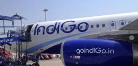 IndiGo Q1 profit skids 20%; sees 12% passenger growth