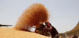 2 pm News Flash – November 30, 2025