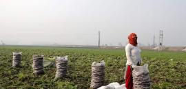 GST 2.0 bolstered momentum, economy on stable footing