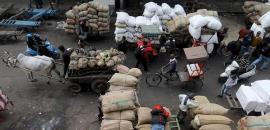 World Bank raises India's growth projection to 6.5% for 2025-26