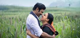 Enjoy Janhvi-Varun's Romance This October