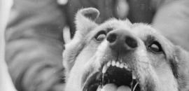 5 pm News Flash – February 26, 2026