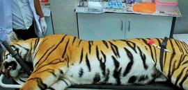 1 am News Flash – December 3, 2025