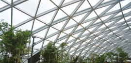 12 pm News Flash – November 18, 2025