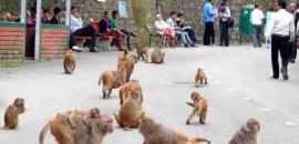 1 am News Flash – November 26, 2025