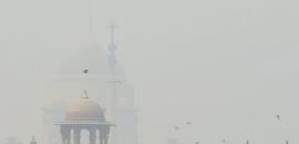 12 pm News Flash – November 1, 2025