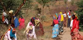 5 pm News Flash – November 17, 2025