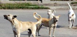 1 pm News Flash – December 10, 2025