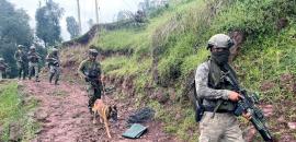 BSF foils infiltration in J-K's Kathua, guns down Pak intruder