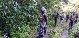 11 am News Flash – November 2, 2025