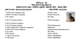 After 'Dog Babu', 'Cat Kumar' seeks Patna residence certificate