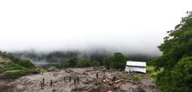 'Illegal felling of trees': SC takes note of landslides, floods