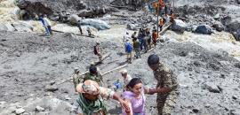 The Search For Survivors