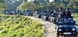 Tourists left stranded in the middle of jungle in Ranthambore