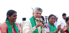 Richest CMs: 931 Cr Naidu, 332 Cr Khandu