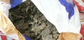 6 pm News Flash – December 3, 2025