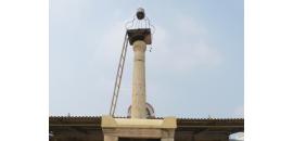 TN temple takeover by ASI: Court issues notice to govt on plea