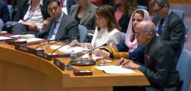 At UNSC, India calls for 'pragmatic engagement' with Taliban