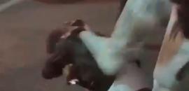 'F*** off, Indian': Man assaulted, racially abused in Australia