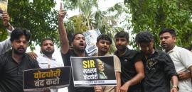 Bihar SIR: Another dog 'applies' for residence proof
