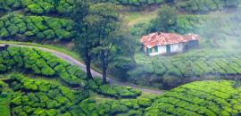 Not allowed to...: Mumbai tourist alleges harassment by Munnar taxi drivers