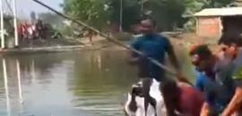 11 am News Flash – November 4, 2025