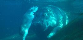 This Mother And Child Make Such A Splash