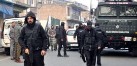 12 pm News Flash – November 15, 2025