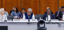 India to unveil updated climate goals in December: Yadav