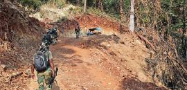 2 pm News Flash – November 18, 2025