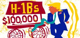 H1B Visa Fee Shock Puts IT Firms In Bind
