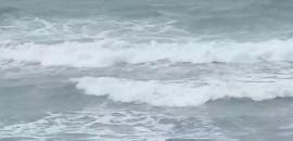 Three of a family drown, 4 missing in Maharashtra beach tragedy